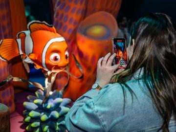 'Mundo Pixar Experience' lokt bijna 330.000 bezoekers naar Brussels Expo