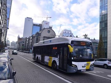 Minder bussen op verschillende trajecten van De Lijn