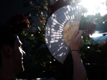Vrijdag 14 augustus is officieel warmste dag van het jaar