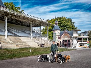 Hippodroomproject: waar het woud botst met de stad