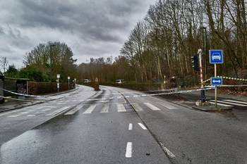 9 februari 2020: onweerschade door storm Ciara in Vorsterielaan in Watermaal-Bosvoorde