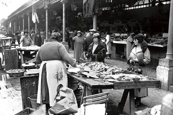 1883-1955 de overdekte vishal op de Vismarkt