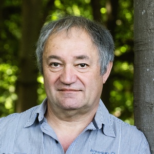 Rudi Janssens (VUB), professor meertaligheid en senior researcher aan het Brussels Informatie-, Documentatie- en Onderzoekscentrum (BRIO)