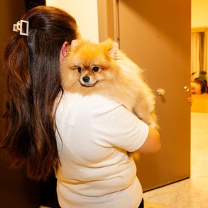 BRZ 20251022 1953 CITYJOBS Nanny 5