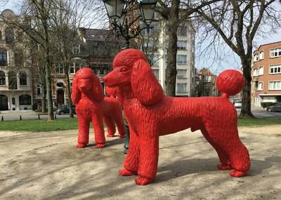 Twee reuzenpoedels van William Sweetlove op het Guido Van Arezzoplein in Ukkel