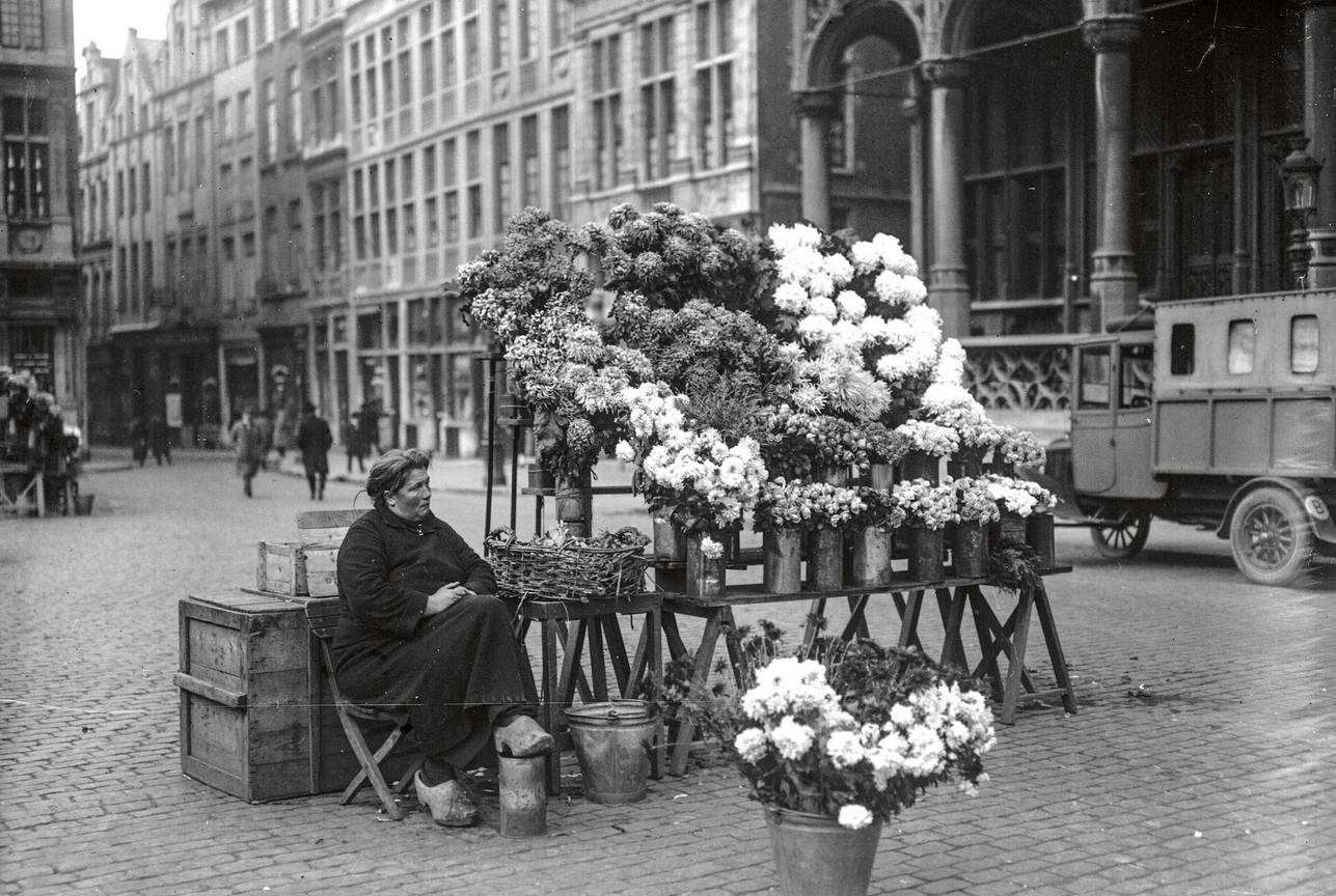 Chrysanten