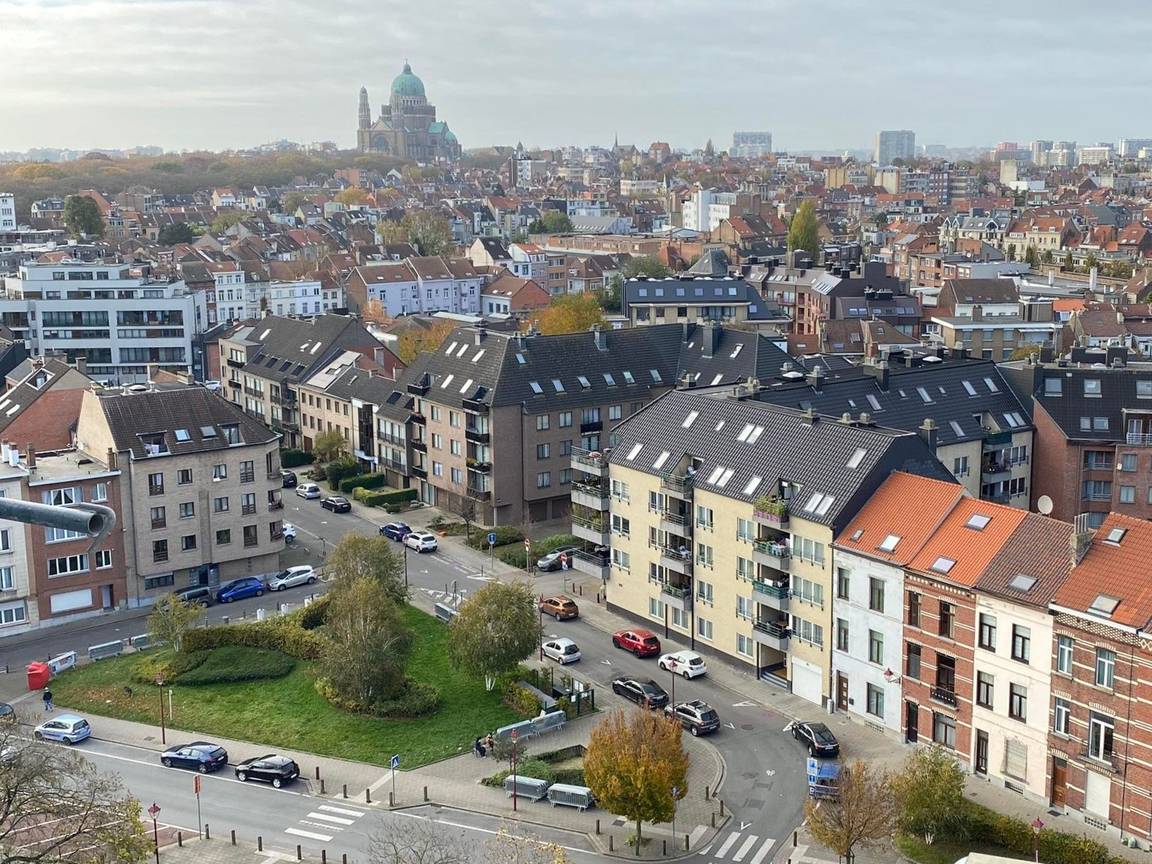 Een uitzicht op Jette, Koekelberg en Ganshoren, met onderaan in beeld een perceel waarop een bosje geplant zal worden. Aan de horizon is de Basiliek van Koekelberg te zien