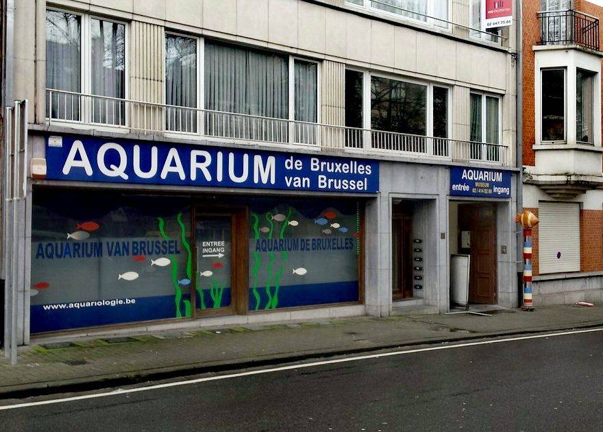 Aquarium Koekelberg