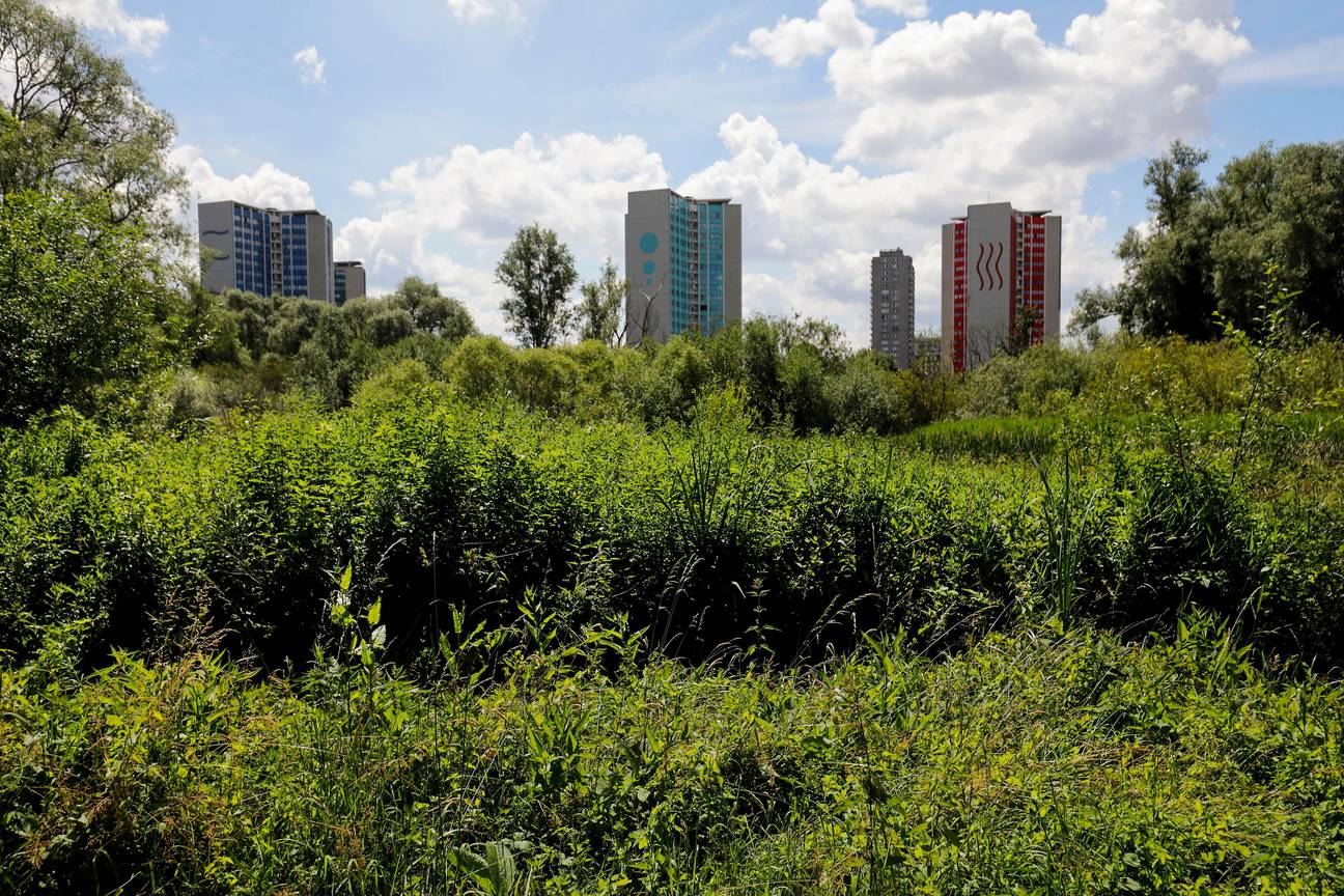 Natuurgebied met de bekende woontorens van Ganshoren achteraan.