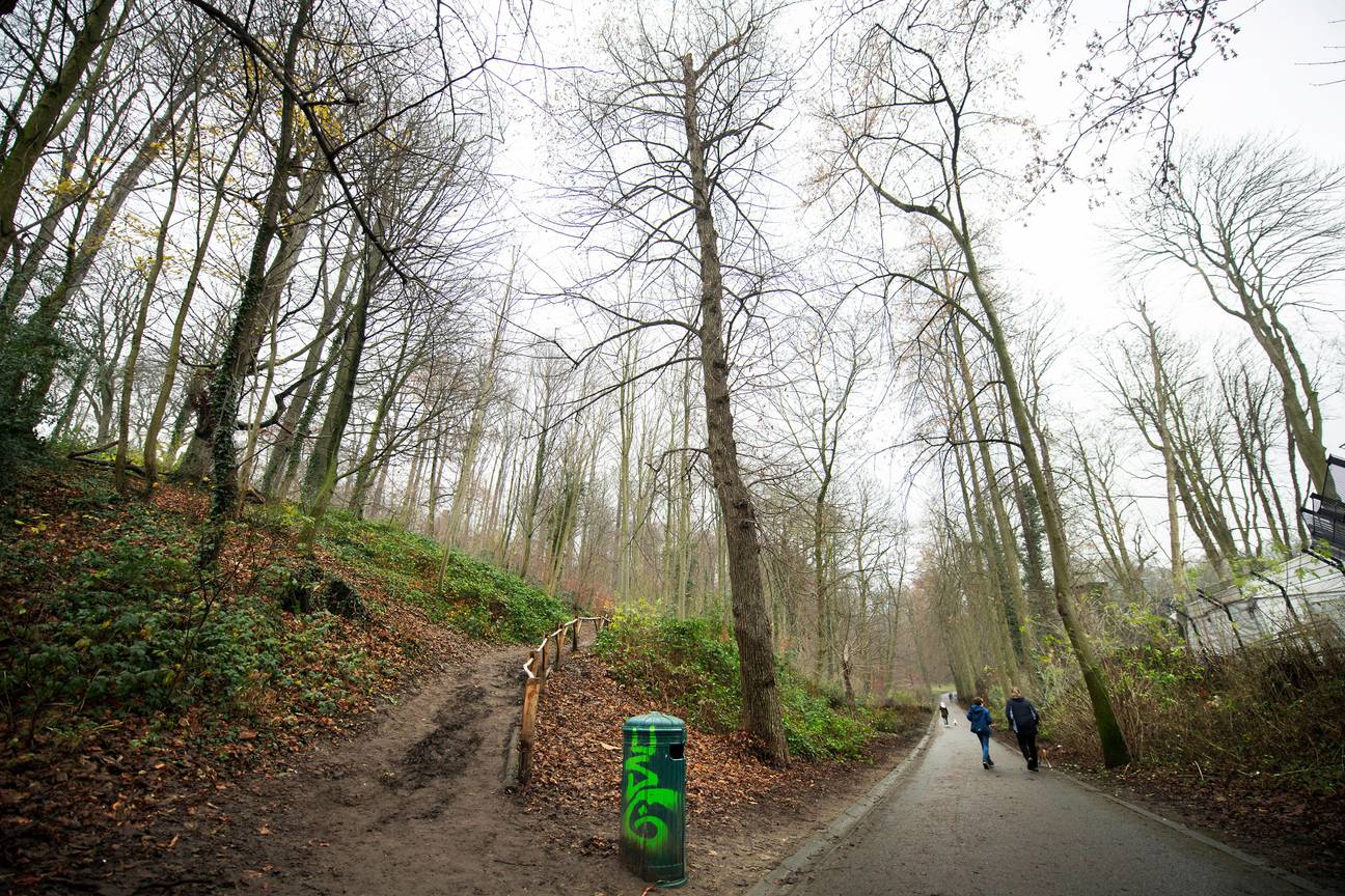 Het Dudenpark in Vorst