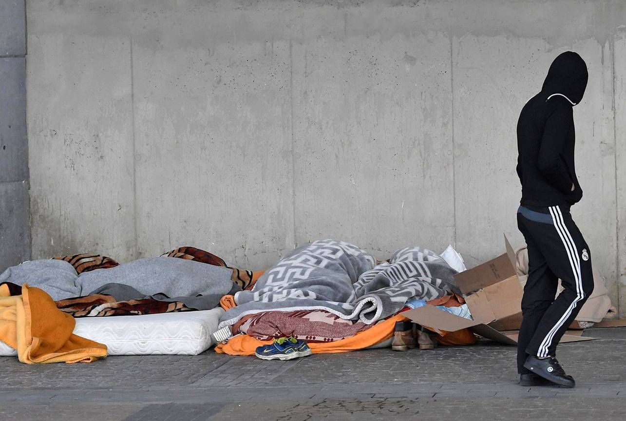 20180228 zoom Dakloze BRUZZ ACTUA 1605