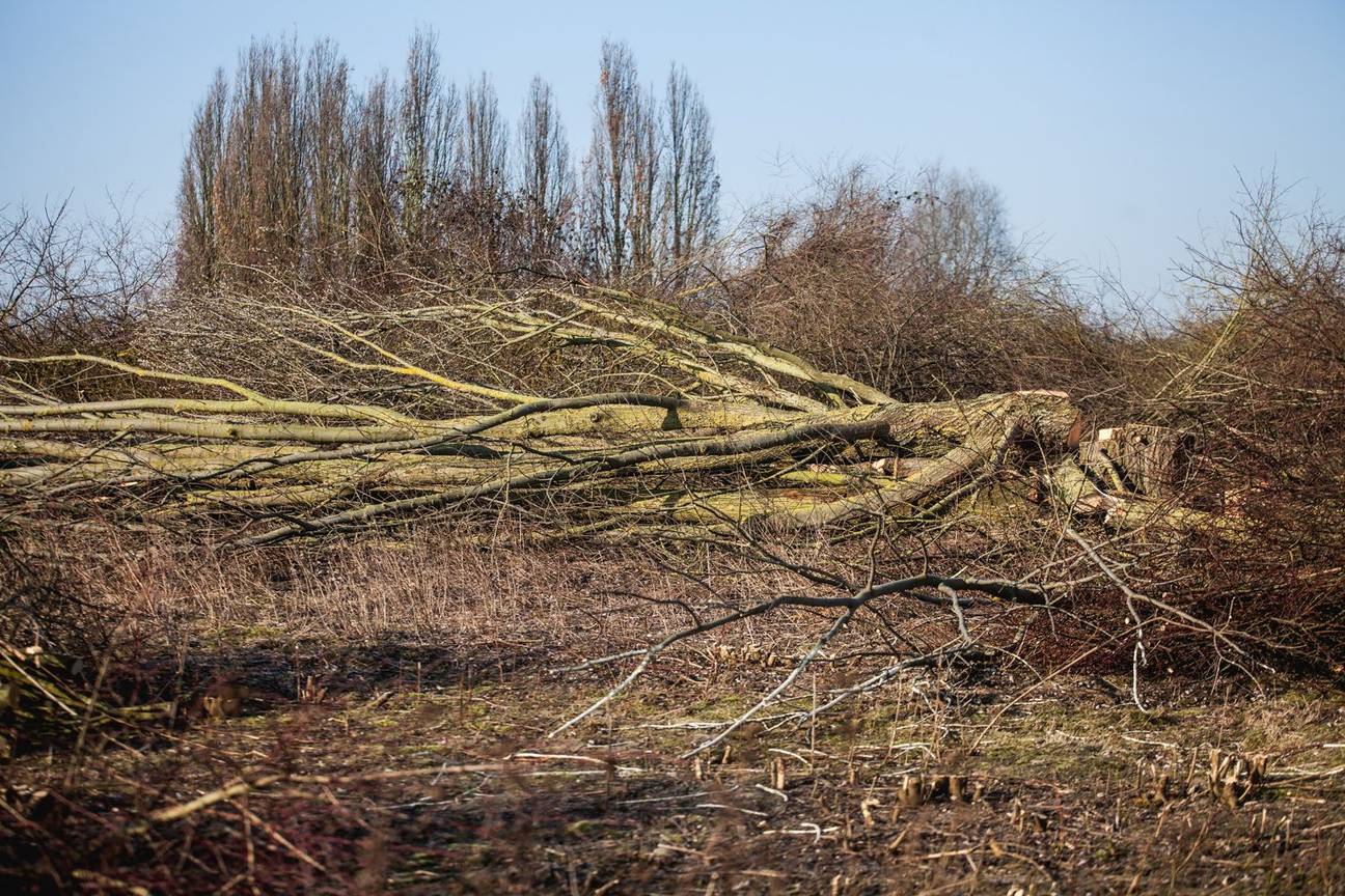 Haren Keelbeeksite gevangenis