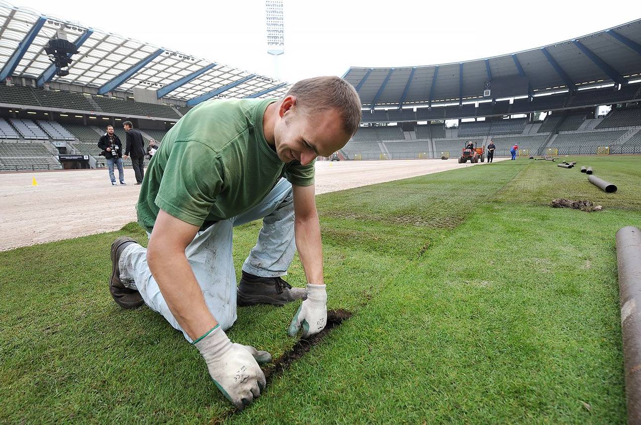 Vervanging grasmat Koning Boudewijnstadion in september 2010 voetbal Rode Duivels Nationaal stadion 3