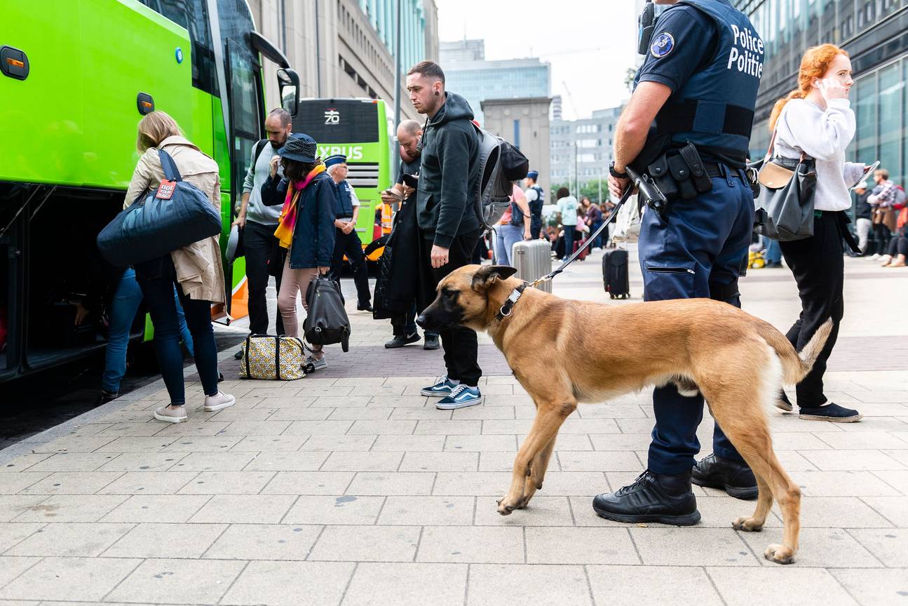 Politiezone Evere-Schaarbeek-Sint-Joost-ten-Node: patrouille met honden