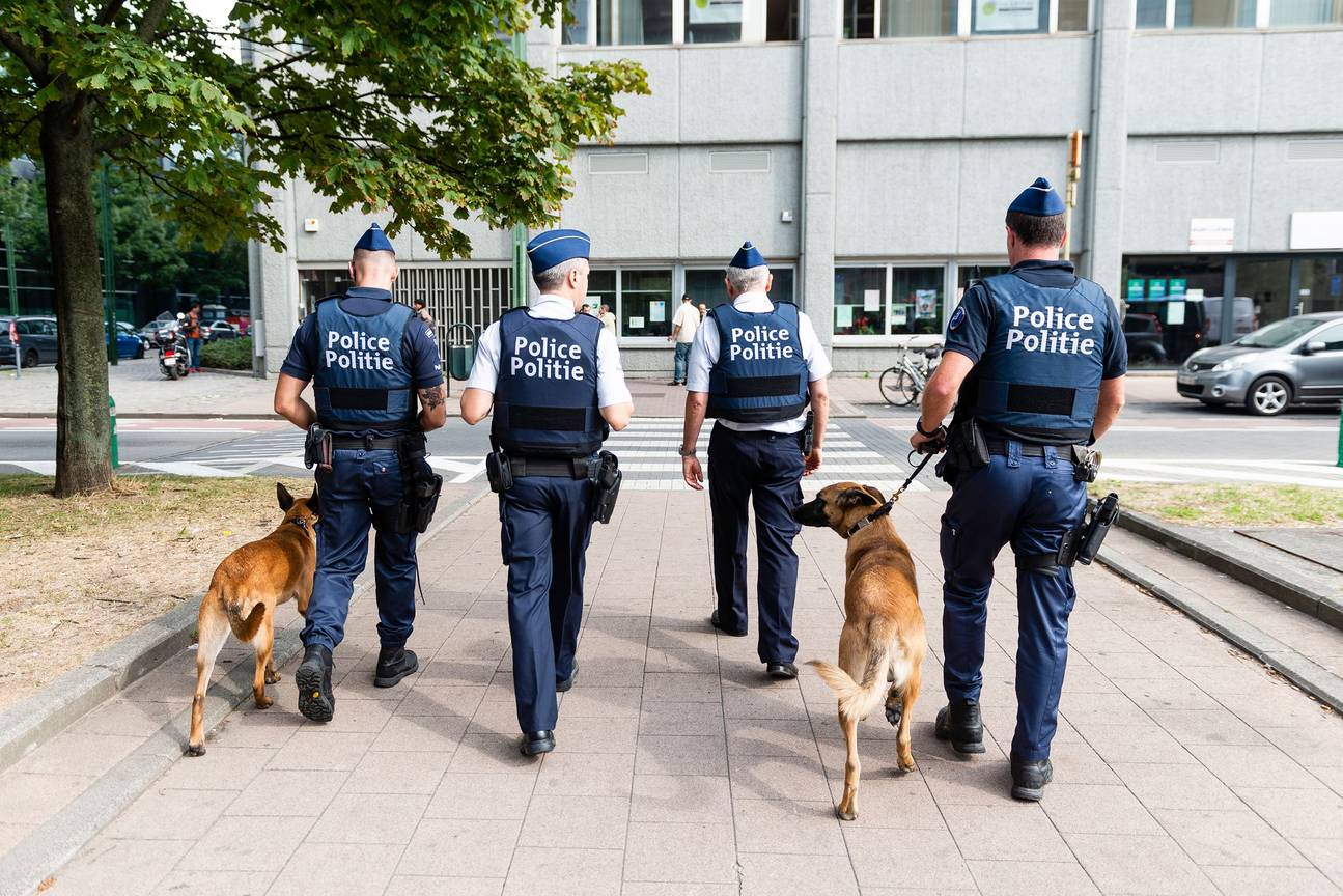 Politiezone Evere-Schaarbeek-Sint-Joost-ten-Node: hondenbrigade