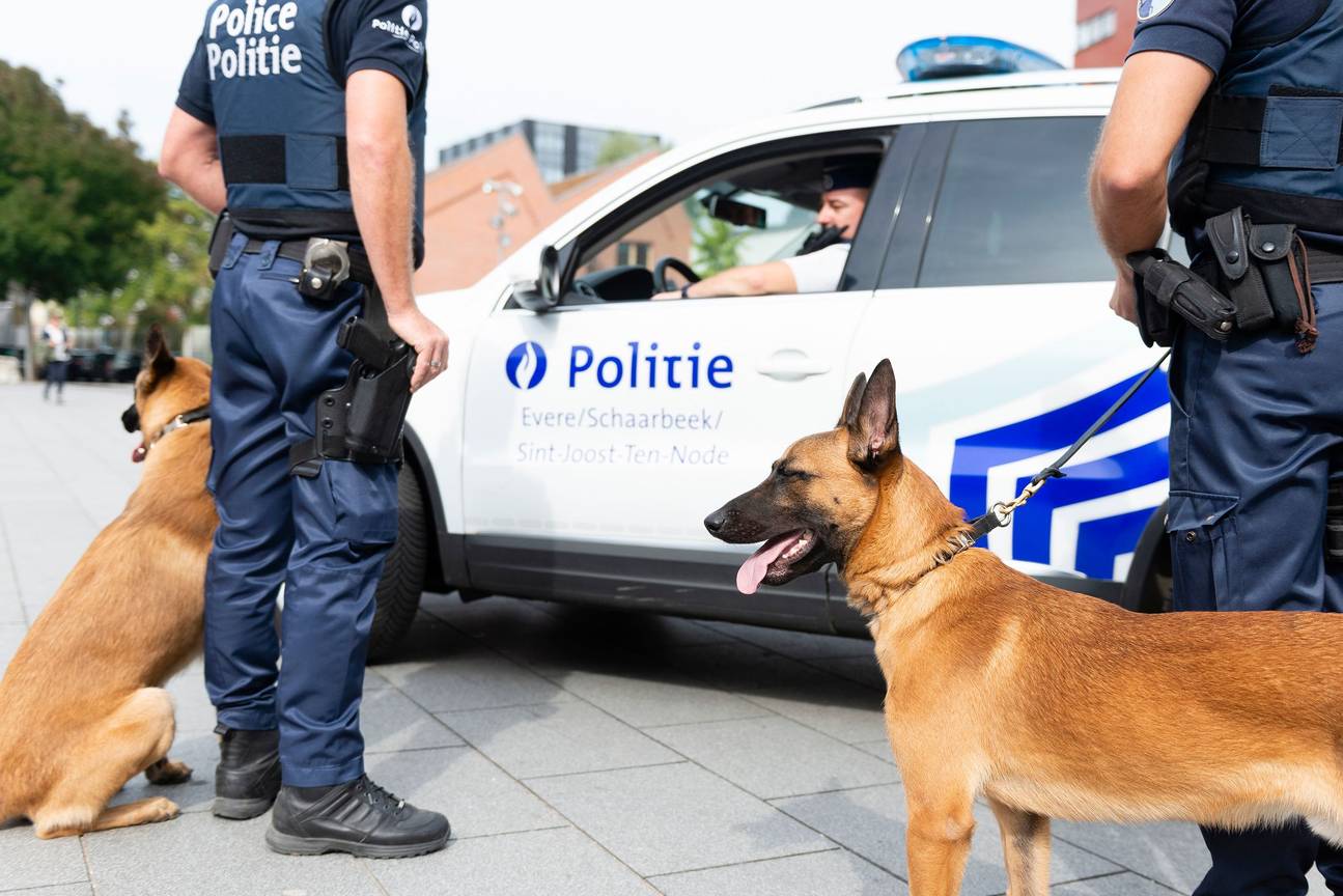 Politiezone Evere-Schaarbeek-Sint-Joost-ten-Node: hondenbrigade