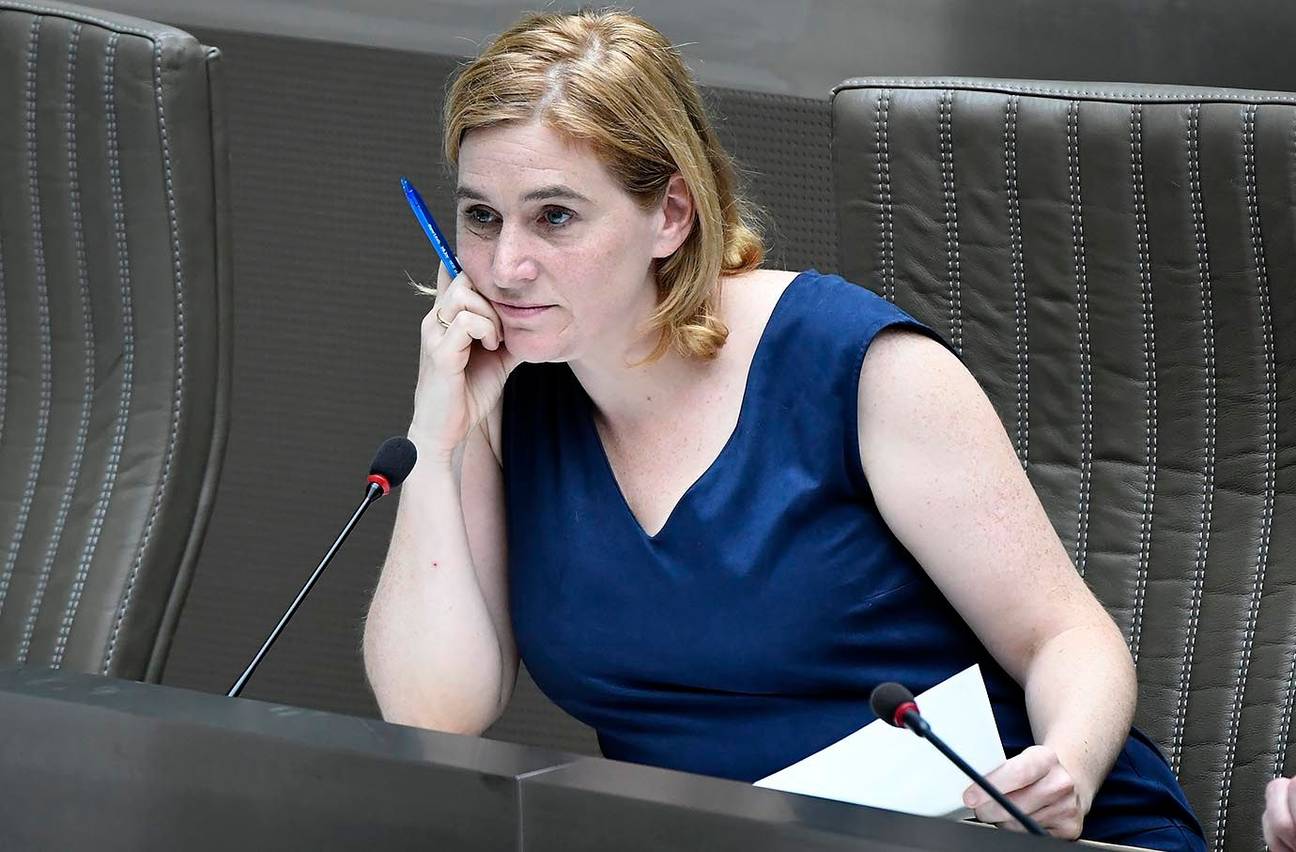 Elke Van den Brandt (Groen) tijdens een plenaire zitting in het Vlaams Parlement