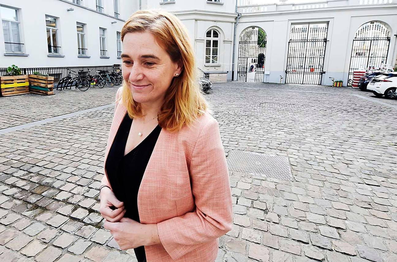 Elke Van den Brandt (Groen)