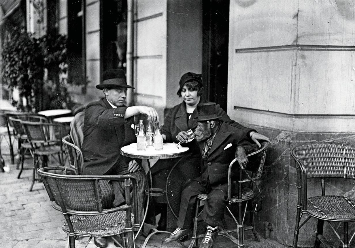 Beeldspraak caféterras met geklede aap in Brussel in 1932