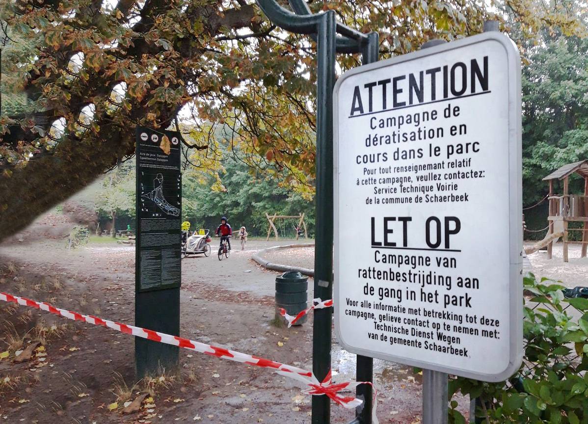 In het Josaphatpark in Schaarbeek loopt een campagne rattenbestrijding