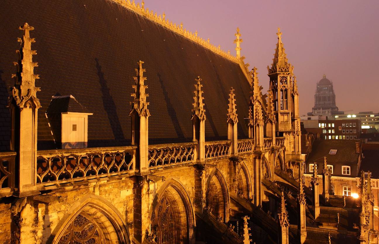 Het dak van de kathedraal van Sint-Goedele en Sint-Michiel. Op de achtergrond het Justitiepaleis