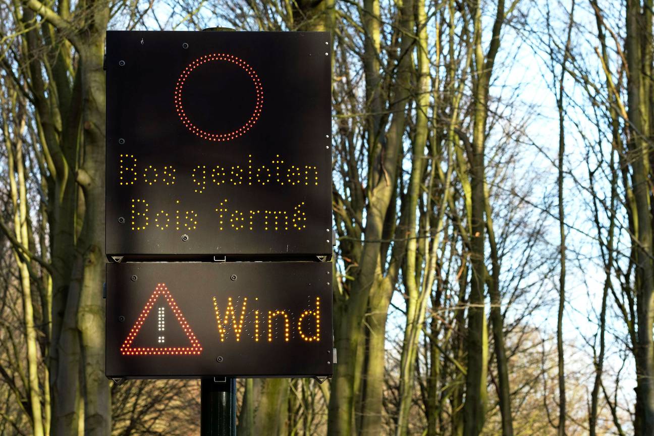 Schade na de doortocht van storm Ciara op zondag 9 februari 2020 in het Ter Kamerenbos