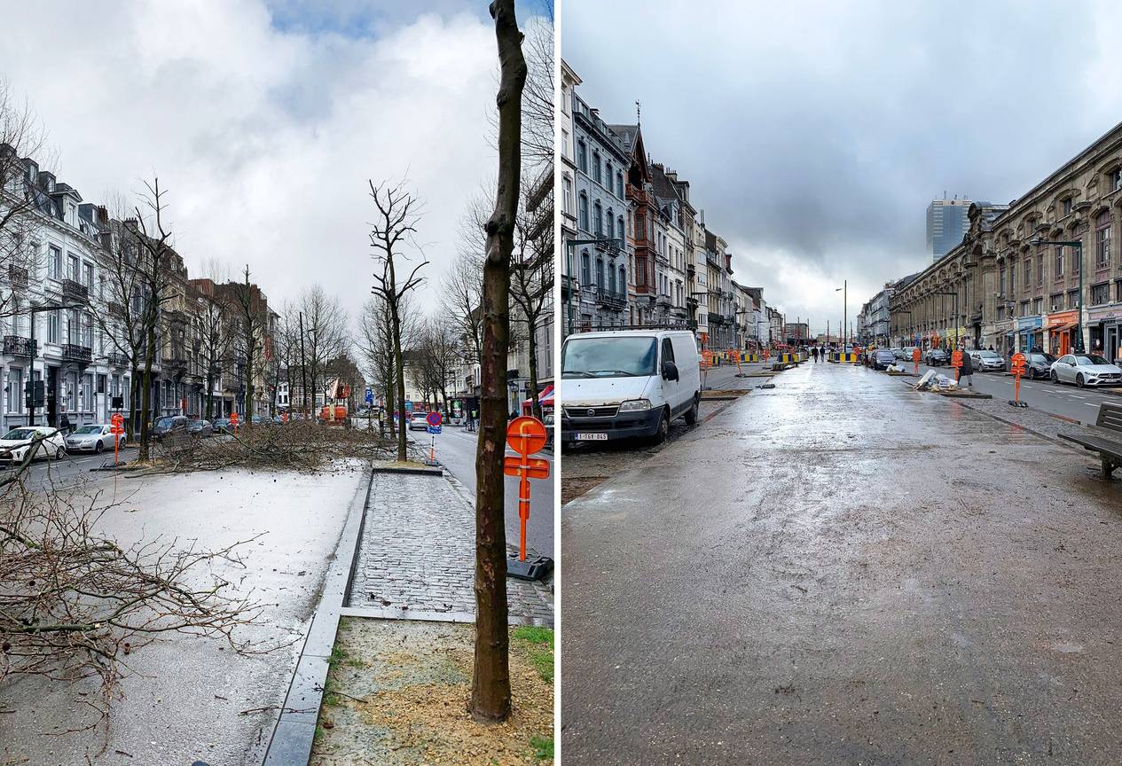 11 maart 2020: de bomen aan de Stalingrad werden gekapt