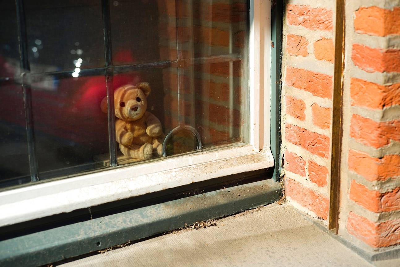 #blijfinuwkot. Een knuffelbeer aan een Brussels raam