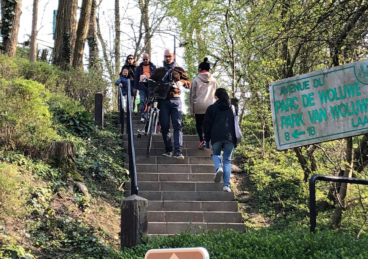 Opsplitsing oude spoorwegbedding in Oudergem en Woluwe: voetgangers- en fietsersbrug over de Tervurenlaan