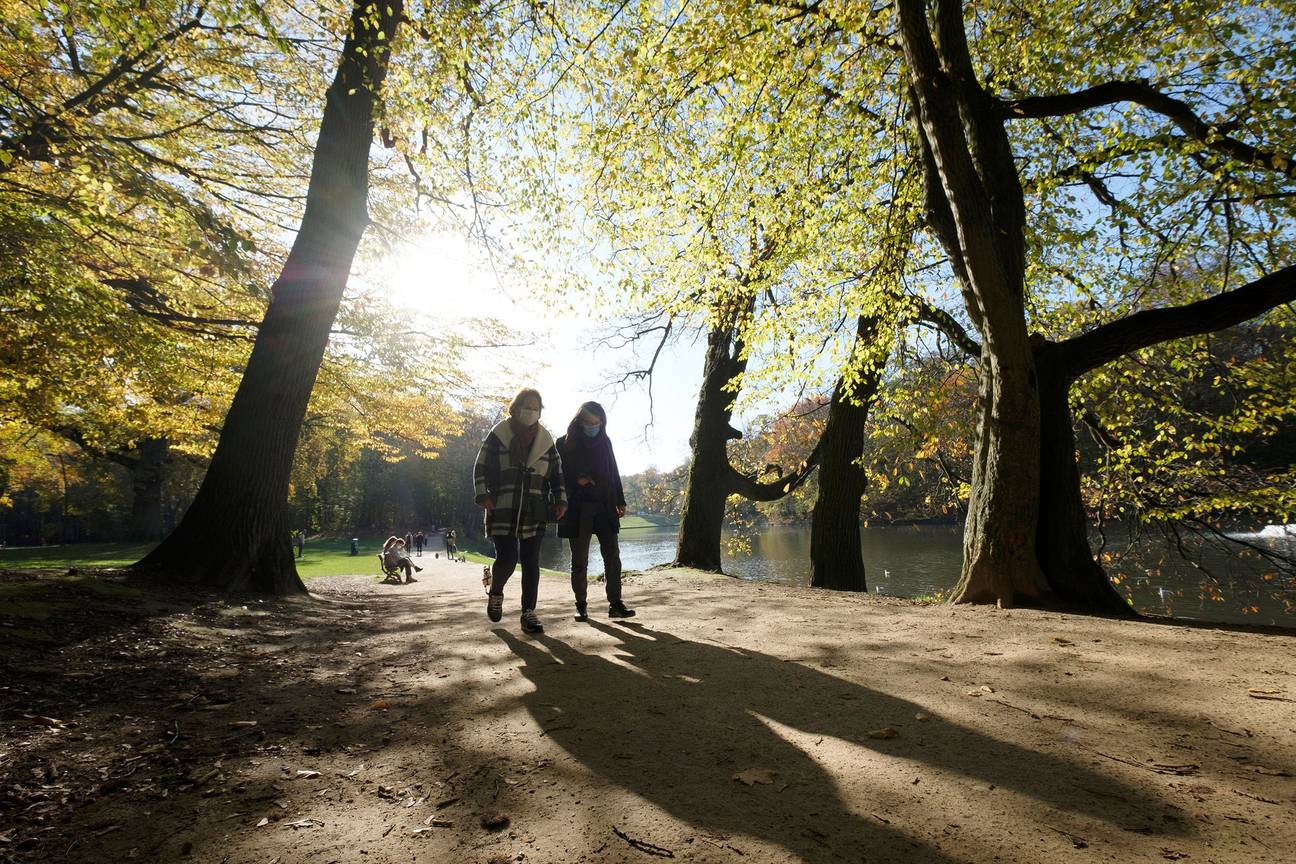 Wandelen in Ter Kamerenbos