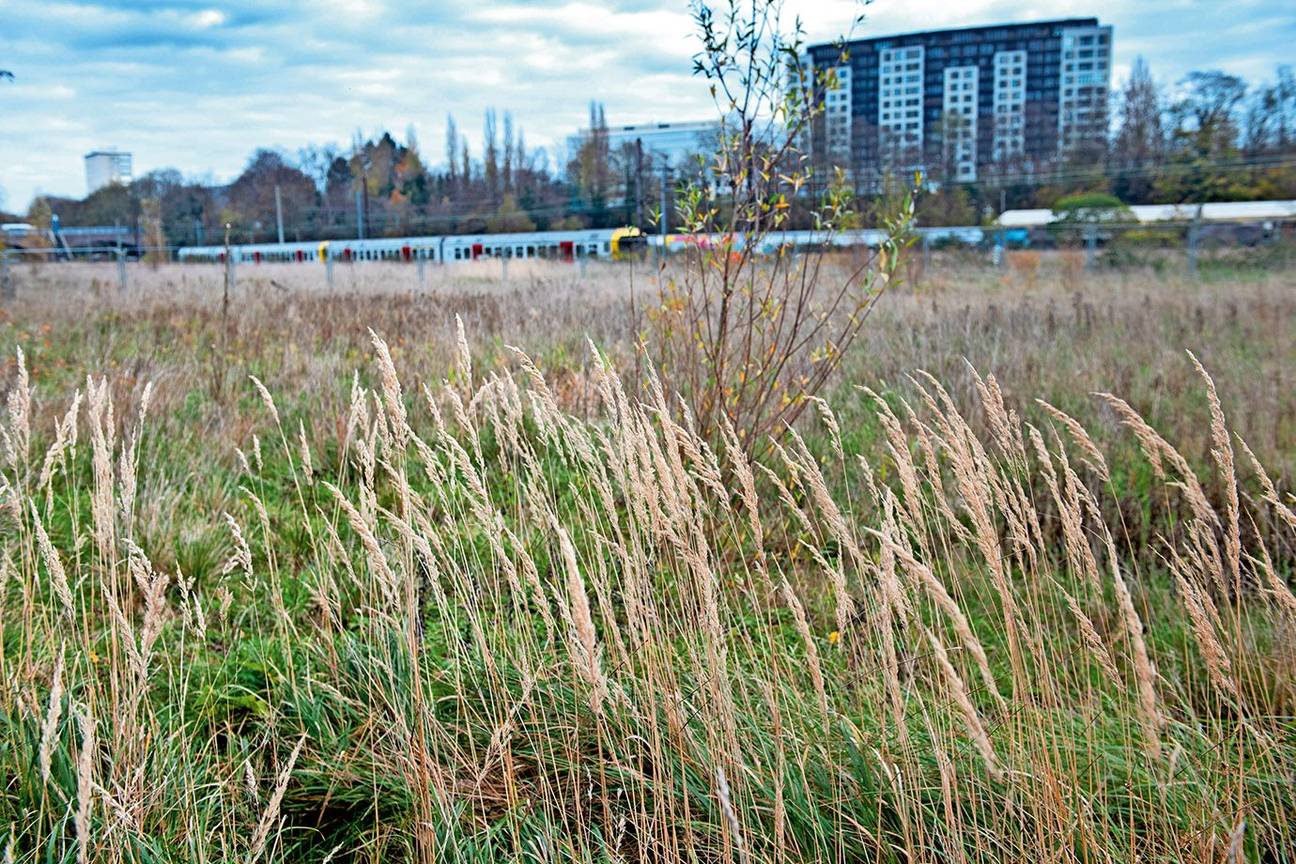 Biodiversiteit en natuurobservatie op de Josaphatsite