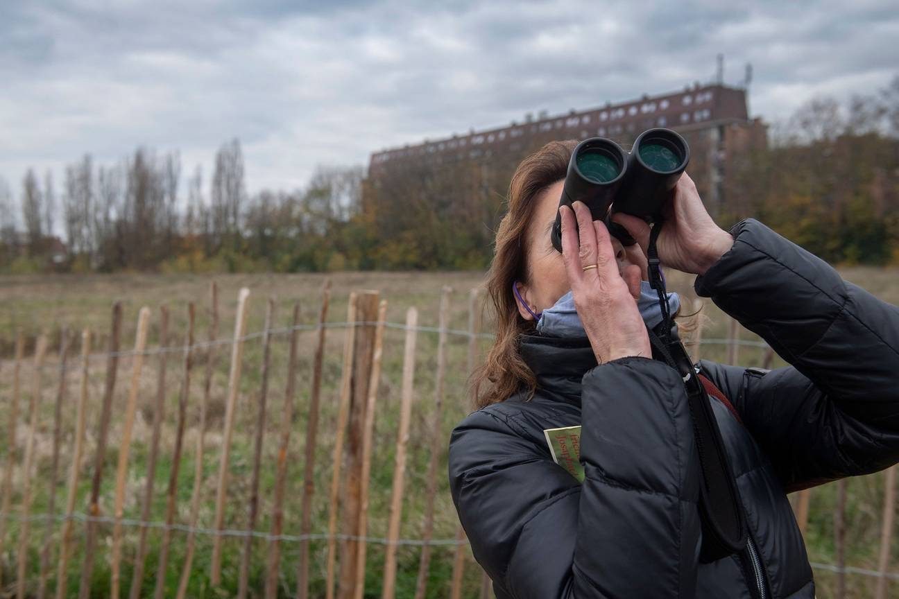 Natuurgids Véronique Daems op de Josaphatsite