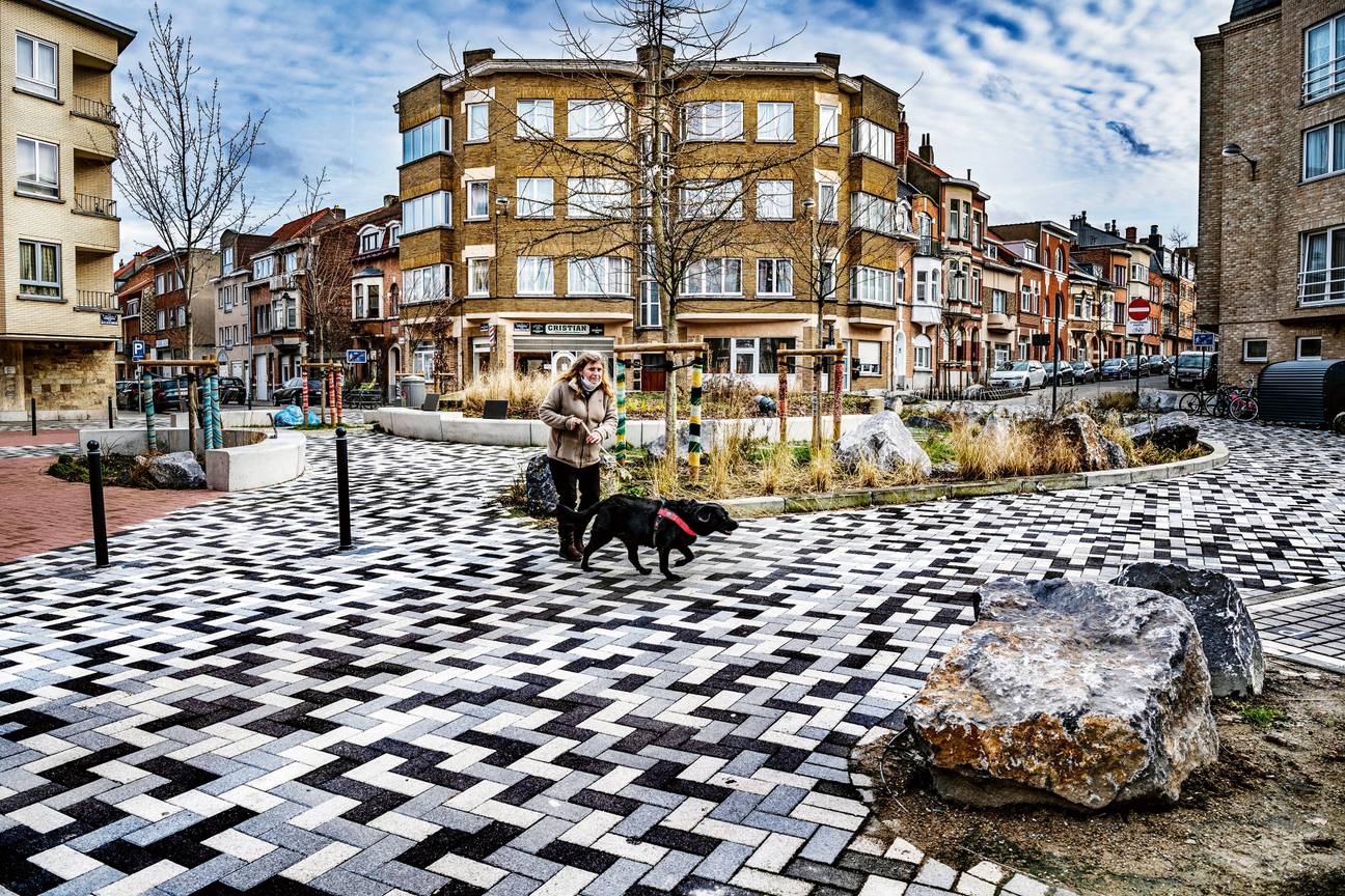 De rotonde aan Pannenhuis is heraangelegd met een regentuin, waarlangs het water kan infiltreren in de grond