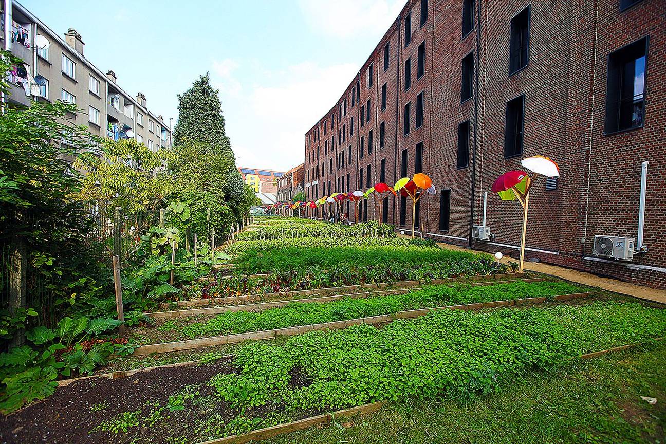 Stadslandbouw Bel akker op terrein oude Zenne-arm