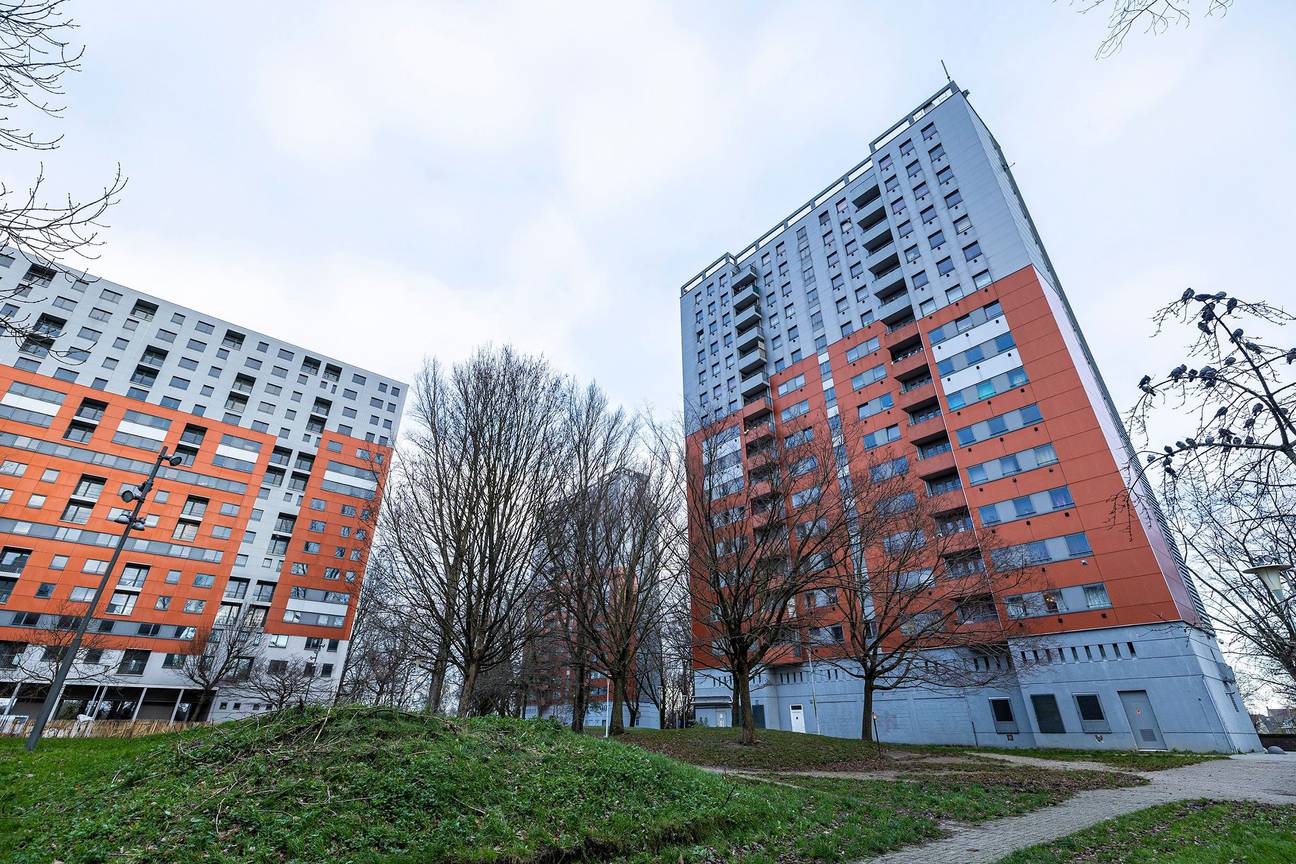 De wijk Peterbos in Anderlecht