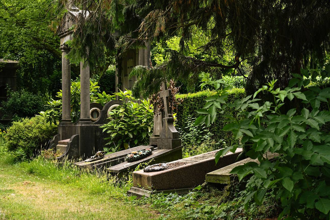 1854 Biodiversiteit Kerkhof Evere 5