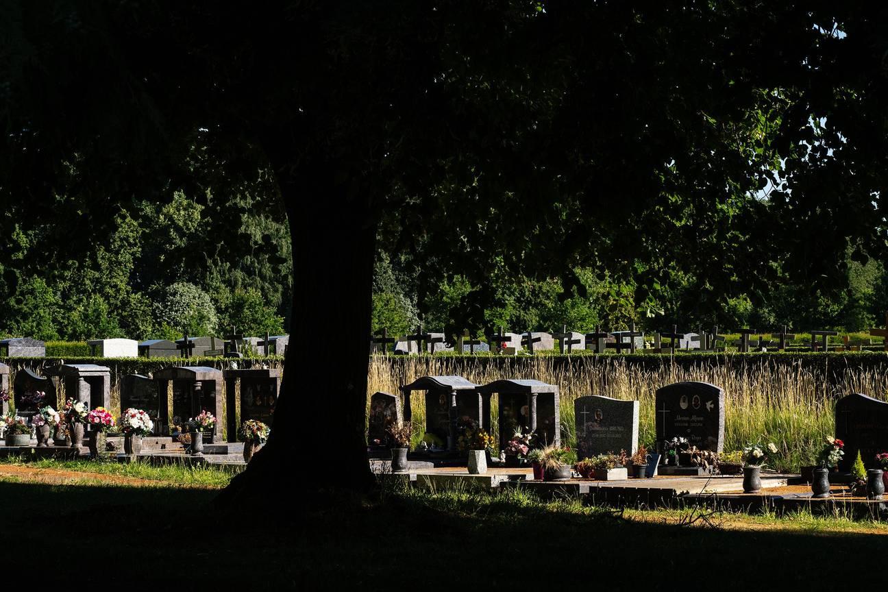 1854 Biodiversiteit Kerkhof Vogelenzang 30