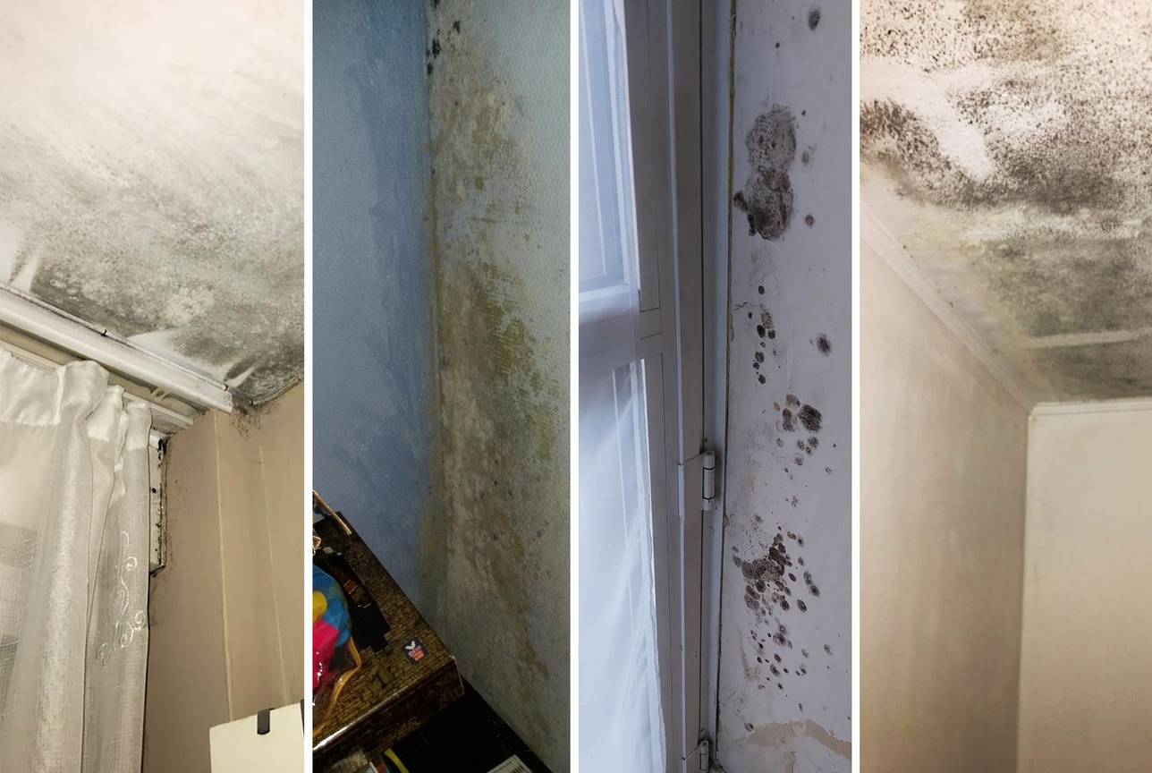 Jarenlange vochtproblemen in sociale woningen in Sint-Jans-Molenbeek
