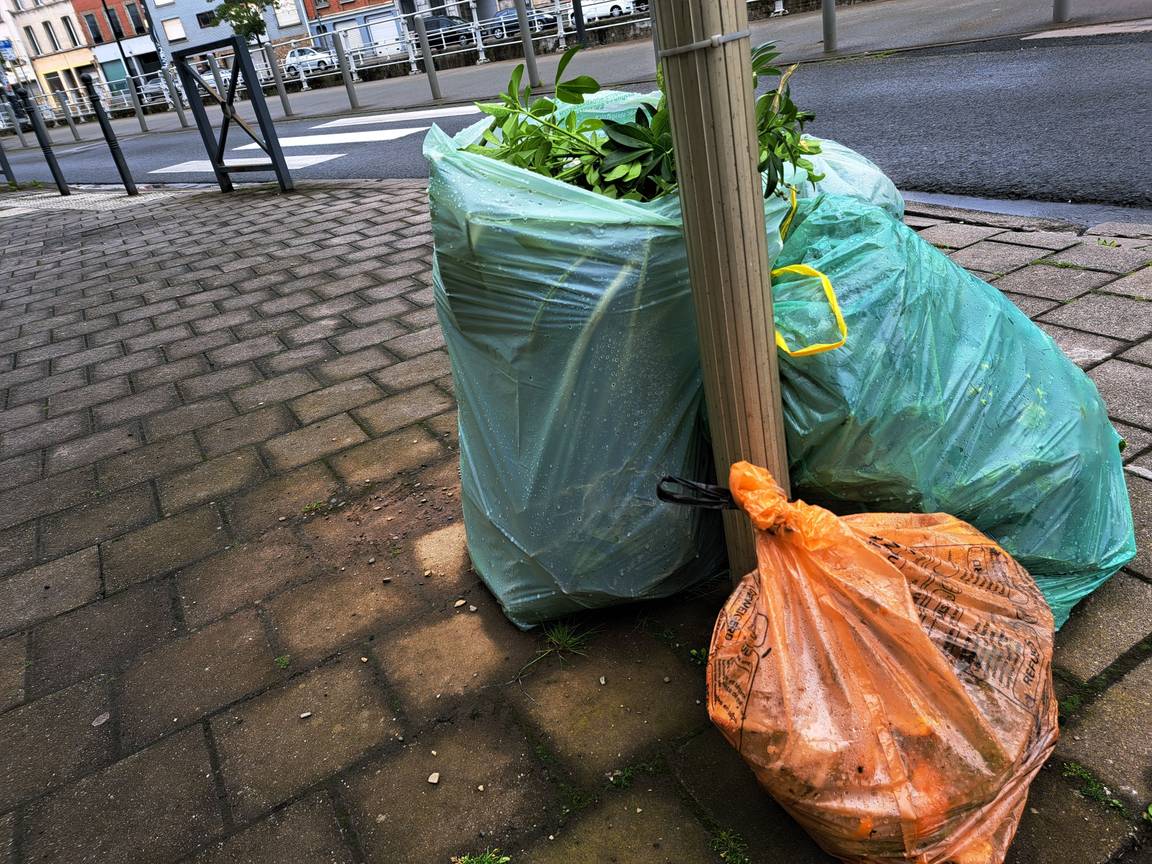 De groene zak met tuinafval en de oranje zak met voedingsafval: klaar voor ophaling door Net Brussel