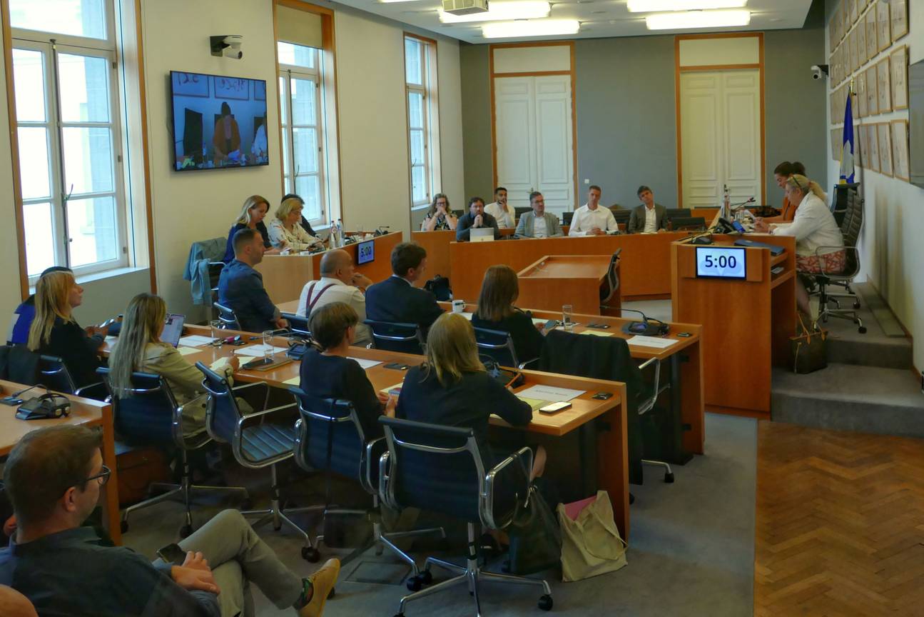 20241018 Raad van de VGC