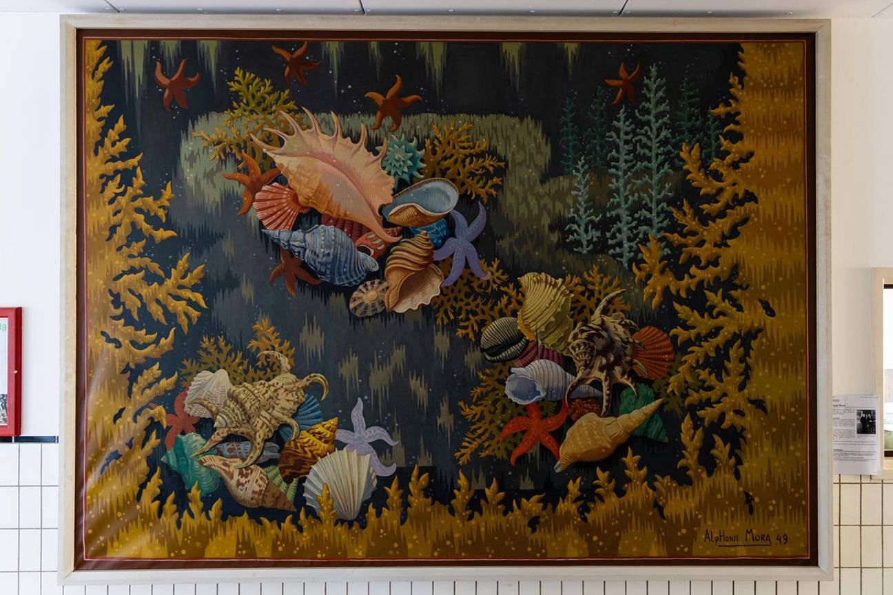 BRZ 20260211 1966 erfgoed schelpdieren4