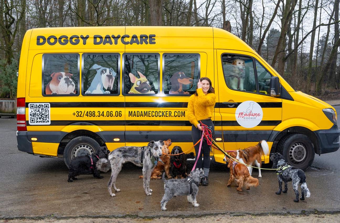 BRZ 20260225 1968 City Job Madame cocker3