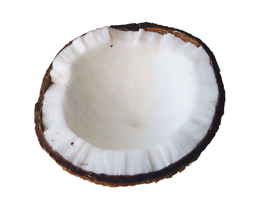 kokosnoot 2