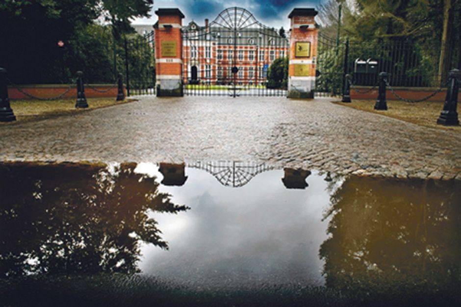 latour des freins BRUZZ 1537