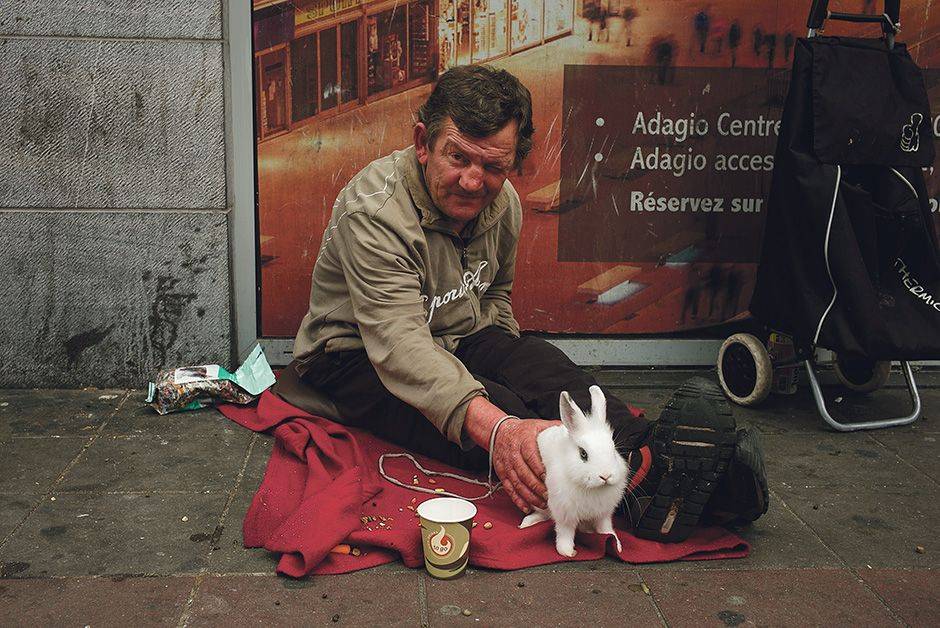 dakloze met konijn BRUZZ 1551