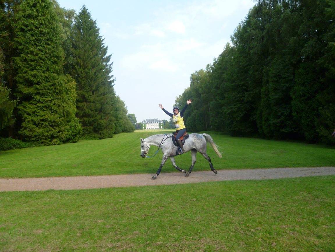 Brussels_Equestrian_Masters