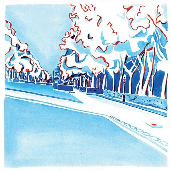 vogelvluchtig illustratie verhaal Gwen Muylaert