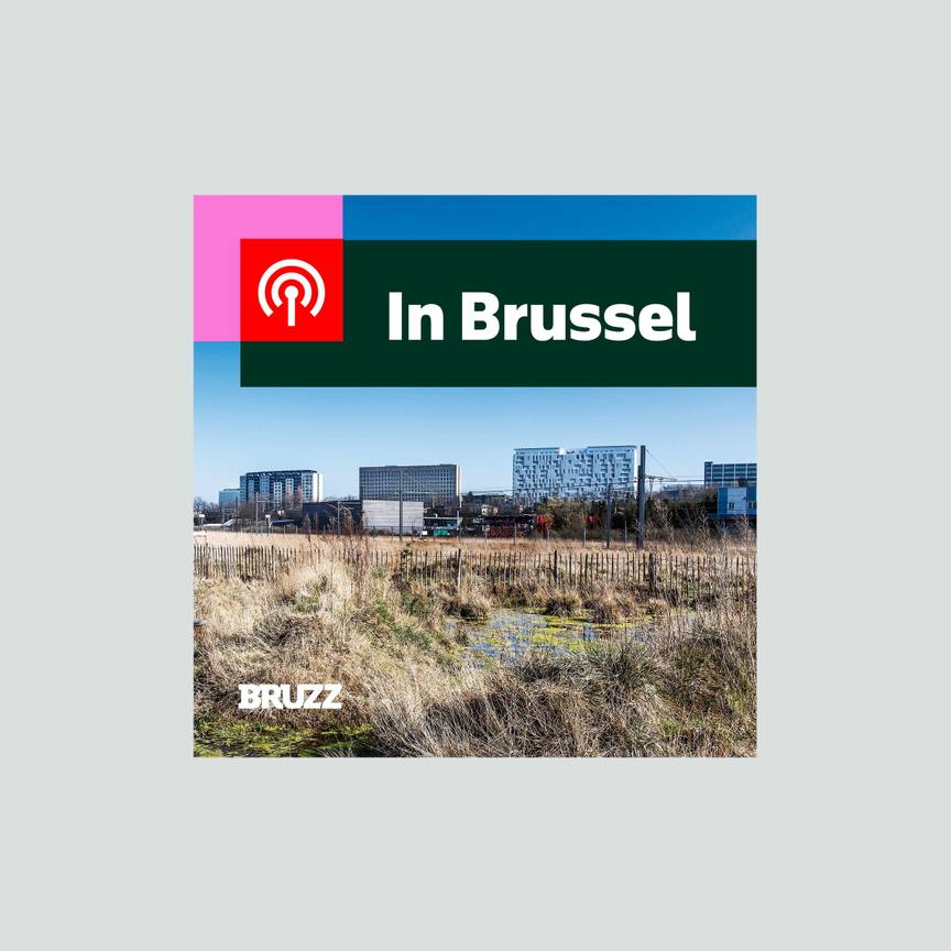 #5 De Josaphatsite: Bouwen of niet bouwen? En Brusselse bedrijven in de USA