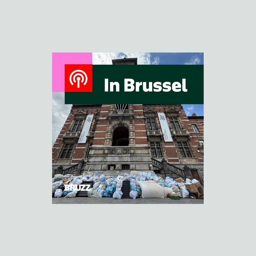 #33 Kuregem ruimt afval voor een betere wijk, maar helpt dat?