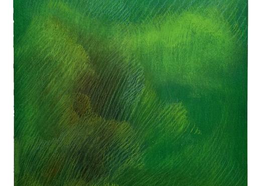 Tussen het werk van de andere artiesten vallen in het bijzonder de raadselachtige groene composities van de Libanese kunstenaar Alaa Itani op